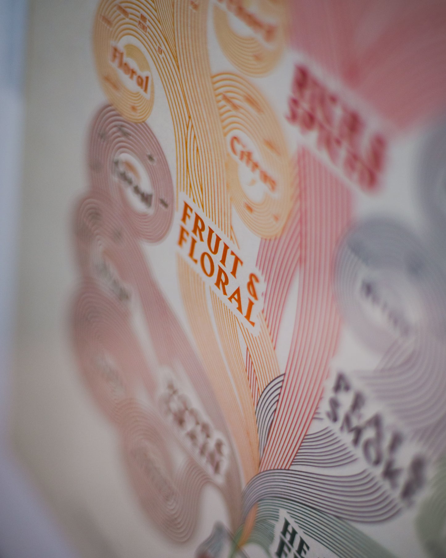 Zoomed-in view of the 'Fruit & Floral' section of the Whisky Aroma Tree Poster, showing whisky tasting notes like apple, citrus, honey, and vanilla.