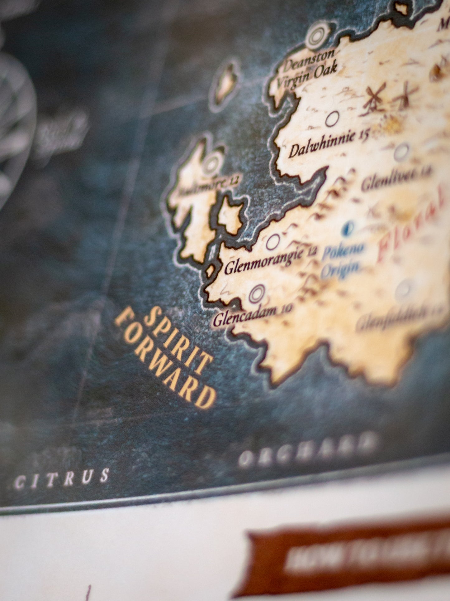 Whisky Flavour Map | 100 Whiskies Organised by Taste (Hand-Drawn Diagram)